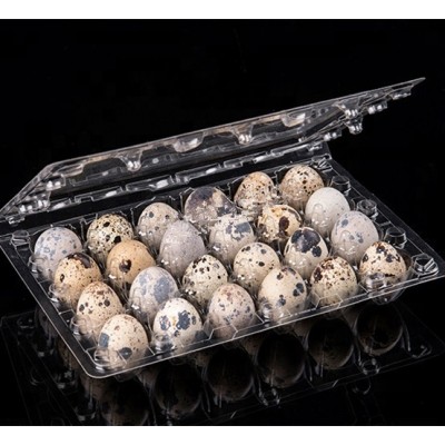 plastic quail egg carton