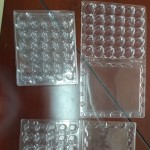 plastic quail egg carton