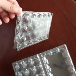 plastic quail egg carton