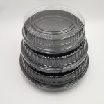Transparent Disposable Plastic Sushi Packing TrayHot sale products 7 buyers