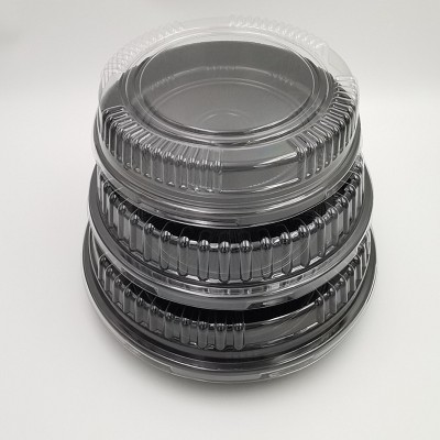 Transparent Disposable Plastic Sushi Packing TrayHot sale products 7 buyers