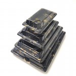 Transparent Disposable Plastic Sushi Packing TrayHot sale products 7 buyers