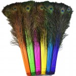 dyed 110cm peacock feathers for sale