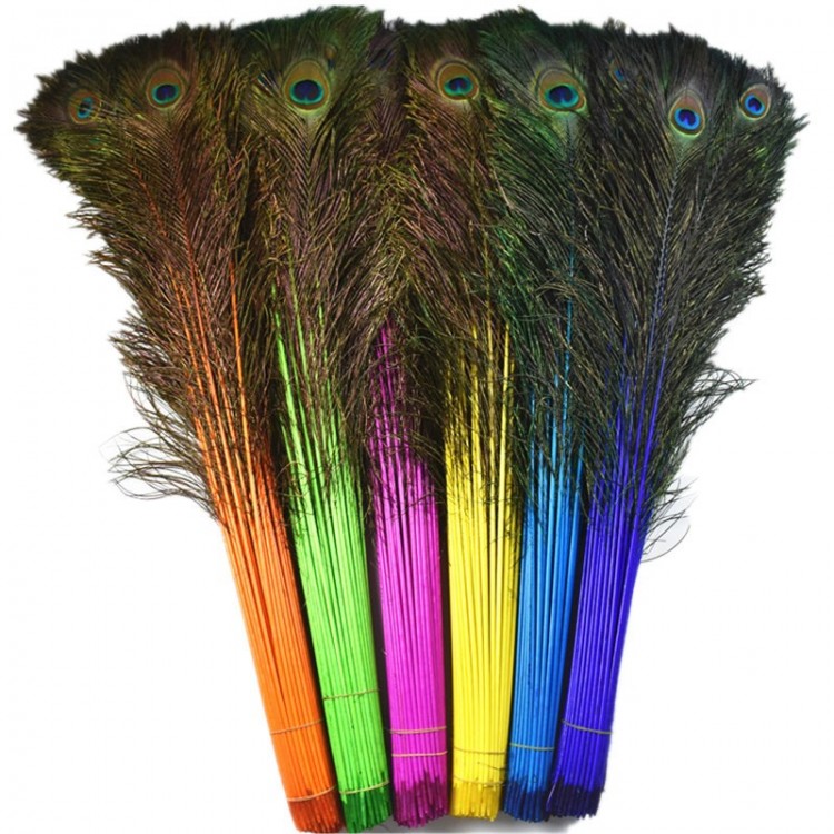 dyed 110cm peacock feathers for sale
