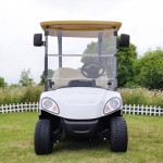 2 seats mini electric golf cart for sale with curtis controller eve conversion kit system