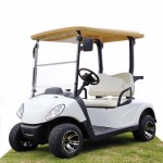 2 seats mini electric golf cart for sale with curtis controller eve conversion kit system