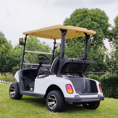 2 seats mini electric golf cart for sale with curtis controller eve conversion kit system