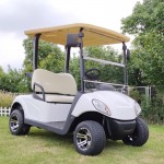 2 seats mini electric golf cart for sale with curtis controller eve conversion kit system