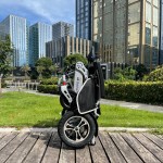 2021 Amazon hot selling aluminum alloy lightweight wheelchair folding power remote control electric wheelchair