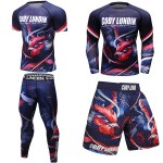 Men's shorts and gym shirts men jiu jitsu mma sportswear set