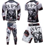 Men's shorts and gym shirts men jiu jitsu mma sportswear set