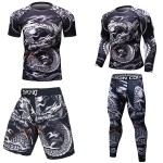 Men's shorts and gym shirts men jiu jitsu mma sportswear set