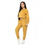 Wholesale 2 Piece Set Womens Hoodies Joggers Long Sleeve Casual Sweatpants And Hoodie Set Women