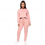 Wholesale 2 Piece Set Womens Hoodies Joggers Long Sleeve Casual Sweatpants And Hoodie Set Women